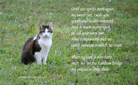 Creative, cute, inexpensive, quick, crafty, fun for kids, free downloadable tag, printable, gift ideas, inspiration, candy, m m jars rainbow bridge poem this shows the love we all have for our four legged friends they will never. *SANDY SANDY ART*: Princess Crosses The Rainbow Bridge
