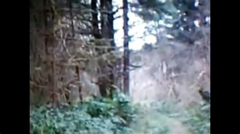 Kentucky Bigfoot Footage Shot From An Atv Youtube