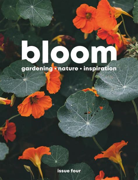 Bloom Issue 4 Digital