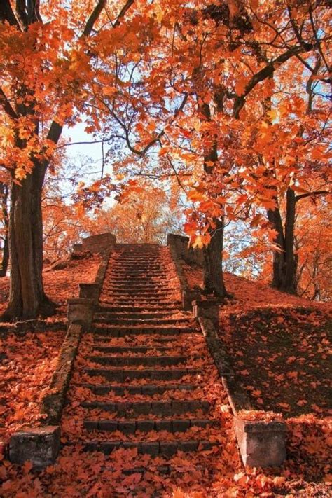 Pin Von O M Auf Autumn Herbst Fotografie Herbst Hintergrund