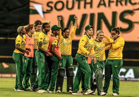 See more ideas about protea flower, protea art, protea. Proteas hungry for first ICC trophy - The Mail & Guardian