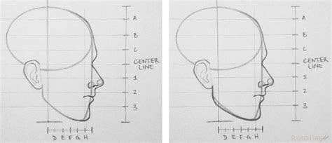 How To Draw A Face From The Side 10 Steps Rapidfireart