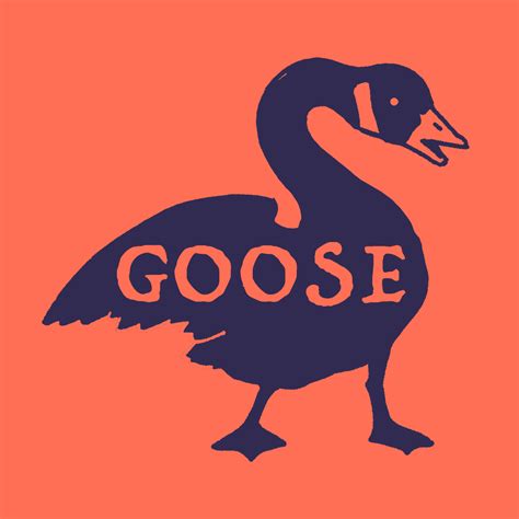 Turned Clouds — Goose