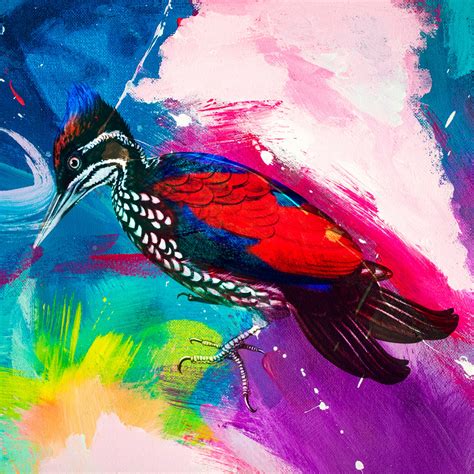 Colorful Bird Abstract Free Stock Photo Public Domain Pictures