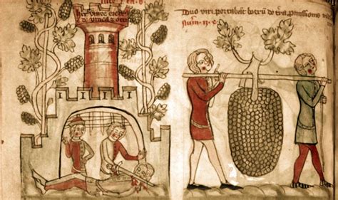 Making Wine In Medieval Europe Brewminate A Bold Blend Of News And Ideas