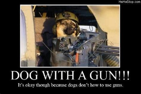 Dog With A Gun