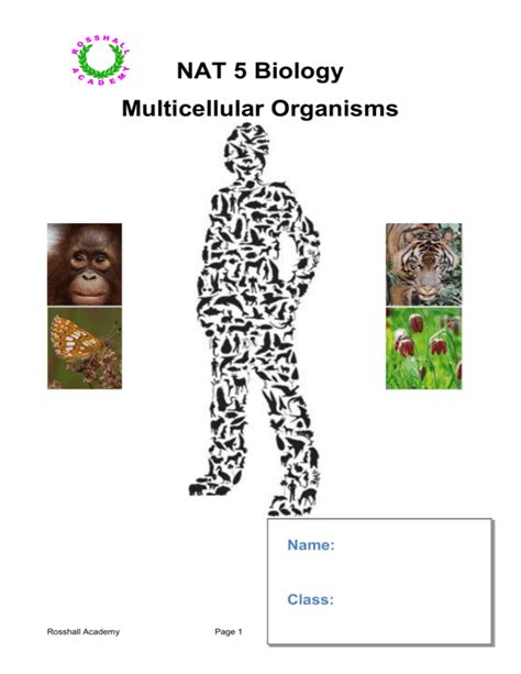 Unit 2 Multicellular Organisms