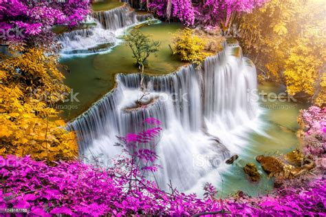 Beautiful Waterfall Nature Scenery Of Colorful Deep Forest