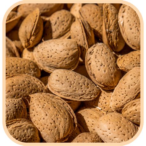 Buy Nuts Online At