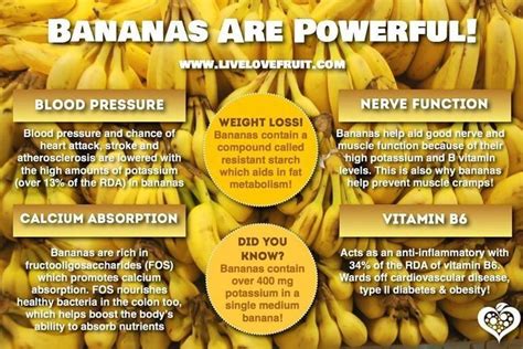 Nutrients In Bananas Bananas Are A Fantastic Source Of Potassium As