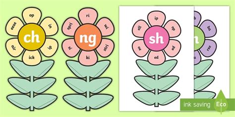 Phase Digraphs Ch Sh Th And Ng Flowers Worksheet Phase