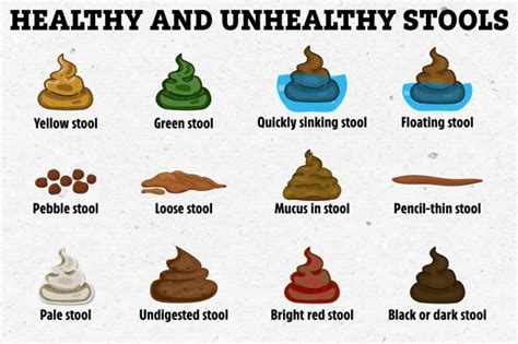 Can You Tell The Healthy Poos From The Unhealthy Ones The Us Sun