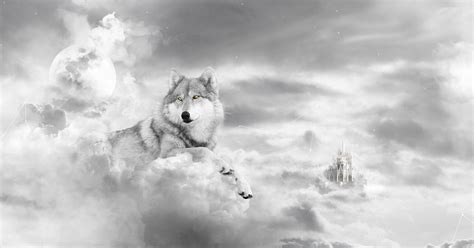You can also upload and share your favorite wolf wallpapers. Die 74+ Besten Wölfe Hintergrundbilder