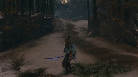 I Love Making Sekiro Look Even Cooler Rsekiro