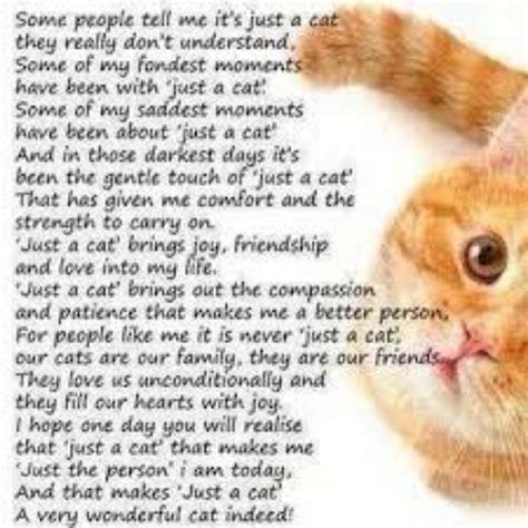 Recite A Special Poem Of Love To Your Cat Life With Cats