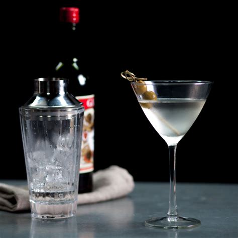 Classic Gin Martini Recipe Myrecipes