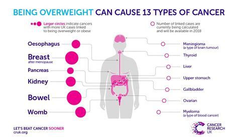 Cancer Research Uk On Twitter Being Overweight Or Obese Causes 13
