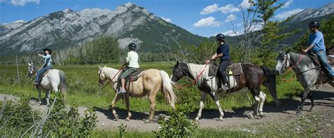 1hr Bow River Evening Horseback Ride Discover Banff Tours