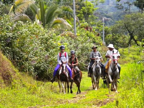 horse riding in costa rica - Google Search | Horse riding, Horses, Riding