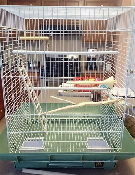 How To Set Up A Birdcage For A Parakeet Or Cockatiel Pethelpful