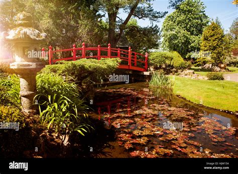 Japanese Garden National Stud Kildare Ireland Stock Photo Alamy