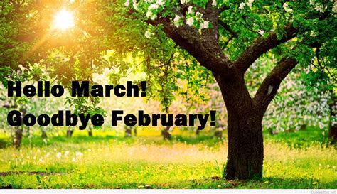 Goodbye February Welcome March Images Pictures Photos Wallpapers Quotes
