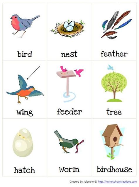 Six Letter Birds Names Lettersj