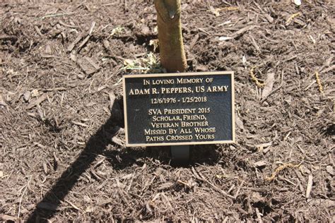 Memorial Tree Dedication Tree To Give Back To Maryville College For