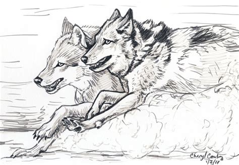 Wolves Running Sketch By Silvercrossfox On Deviantart