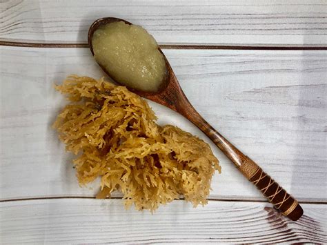 Maybe you would like to learn more about one of these? Sea Moss Benefits | DIY Sea Moss Gel | Holistic Lifestyle ...