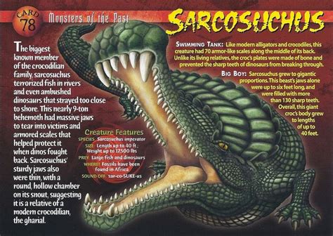 Sarcosuchus Wierd Nwild Creatures Wiki Fandom Powered By Wikia