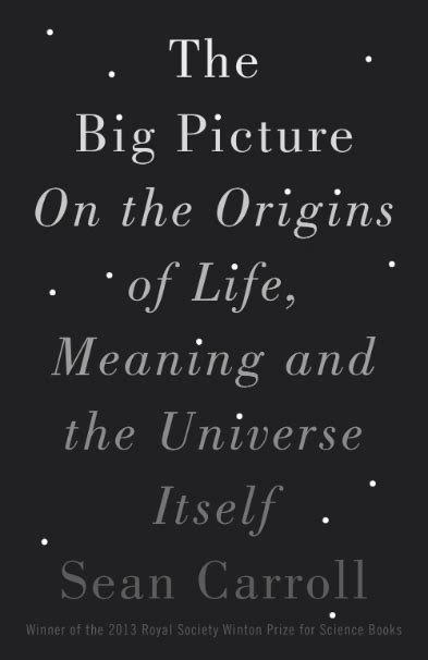The Big Picture On The Origins Of Life Meaning And The Universe