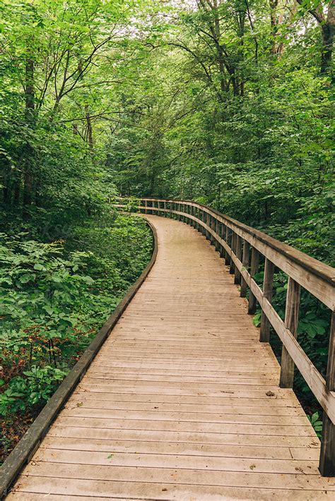 Wood Walking Path By Stocksy Contributor Adam Nixon Stocksy