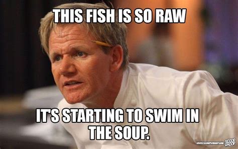 HA HA! This man! | Gordon ramsay funny, Gordon ramsay ...
