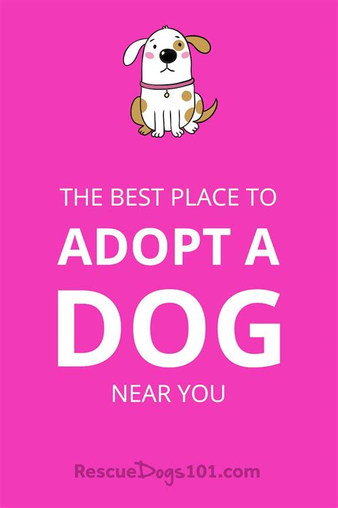 Adopt a dog, cat, bird or reptile. Reputable Local Dog Rescues and Shelters | Dog adoption ...