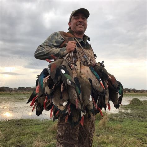 Argentina Duck Hunting Los Ceibos 6270 Ramsey Russells