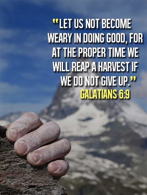 Let Us Not Become Weary In Doing Good For At The Proper Time We Will