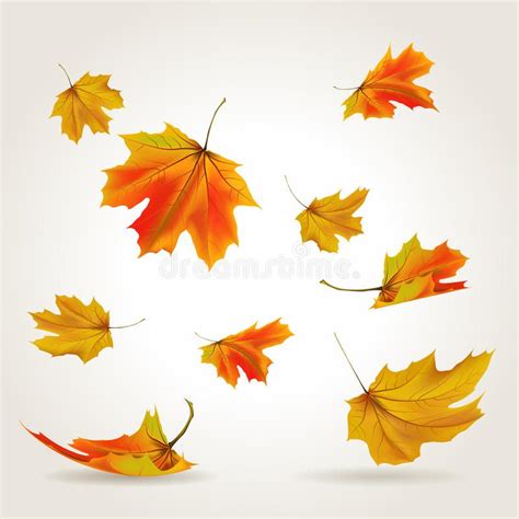 Falling Leaves Set Vector Illustration Sponsored Leaves