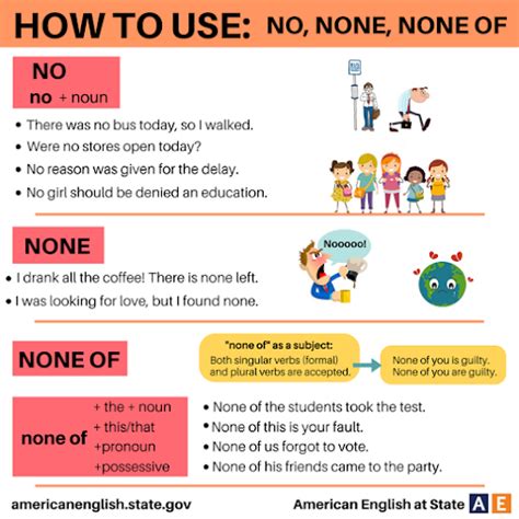 How To Use No None None Of Learn English Grammar English Language