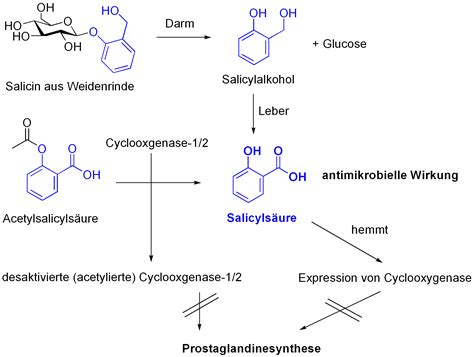 Salicin Naturstoffe And Forschung
