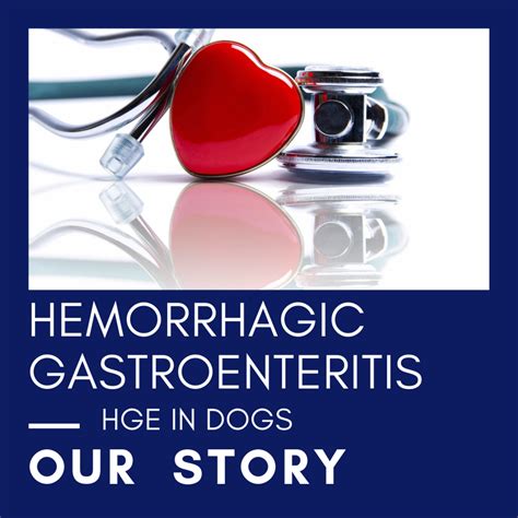 Hemorrhagic Gastroenteritis Or Hge A Dangerous Canine Intestinal