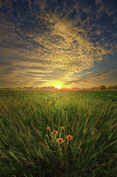 A Time Of Ts Photograph By Phil Koch Fine Art America