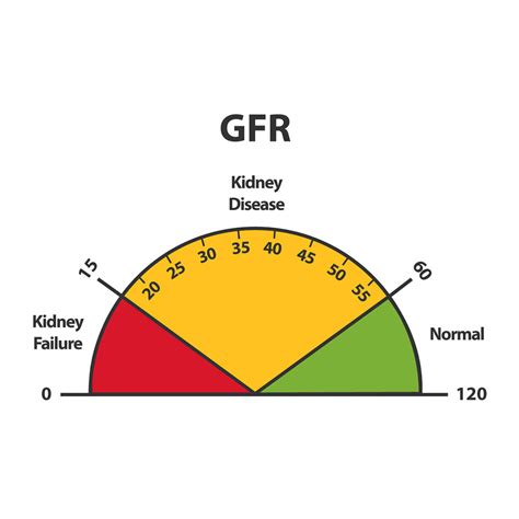 This can be due to acute tubular necrosis (nephrosis) or inflammation (nephritis). Chronic Kidney Disease (CKD) | NIDDK