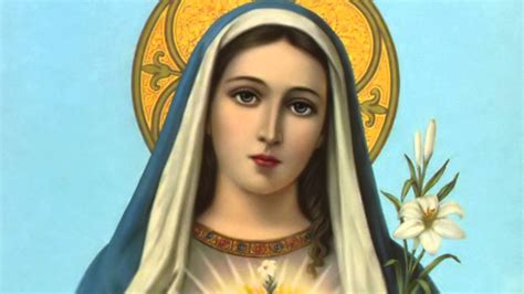 Jungfrau maria, im christlichen glauben die mutter jesu von nazaret. Virgen María: Historia, canciones, frases, virtudes ...