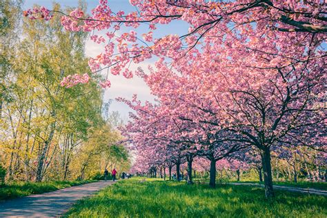 Los 20 campos y ciudades más bonitas en primavera — Rock ...