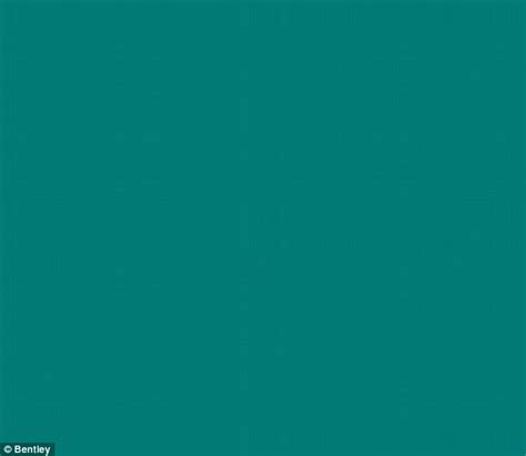 Is This Blue Or Green Theres A New Optical Illusion Frustrating The