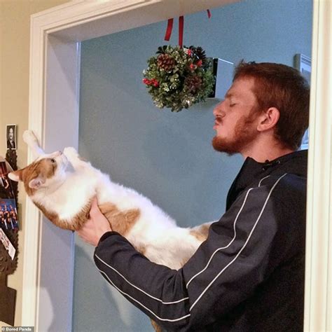 Hilarious Snaps Of Cats Reacting To Affection From Their Owners Daily