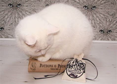 Catnip Love Potion Cat Toy By Freak Meowt