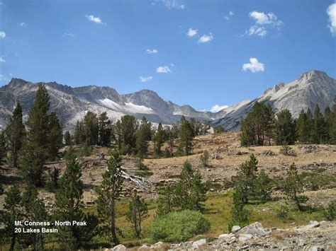 Look for strawberry cabins now!. Strawberry, California 95375