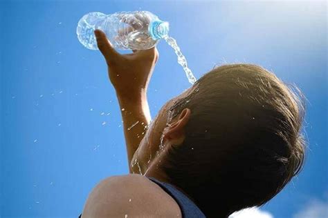 Recomendaciones A Tener En Cuenta Ante La Ola De Calor En Este Verano